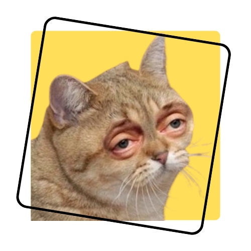 Black and White Lightning Charge Technology Logo (3)